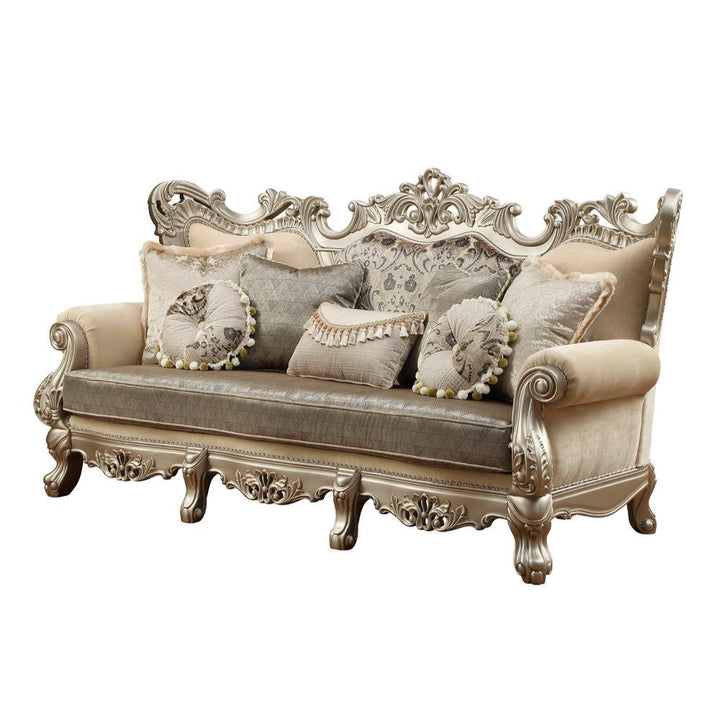 Acme Furniture Ranita Sofa - Back in Fabric & Champagne Finish 51040BACK