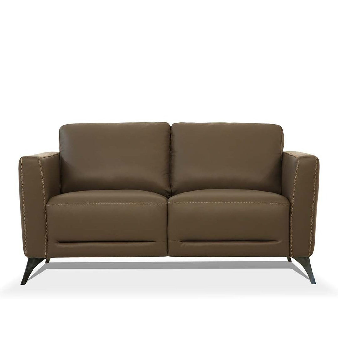 Acme Furniture Malaga Loveseat in Taupe Leather 55001