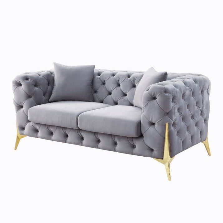 Acme Furniture Jelanea Loveseat W/2 Pillows (Same As Lv01407) in Gray Velvet & Gold Finish 56116