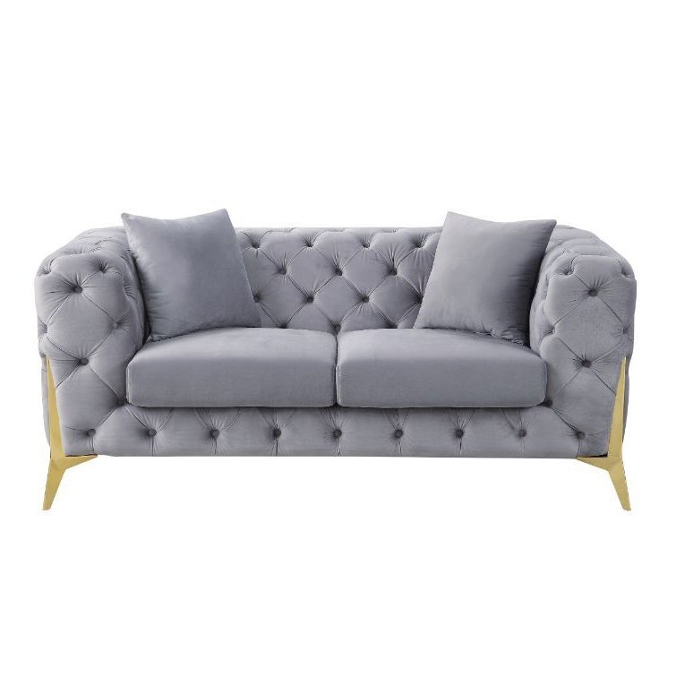 Acme Furniture Jelanea Loveseat W/2 Pillows (Same As Lv01407) in Gray Velvet & Gold Finish 56116