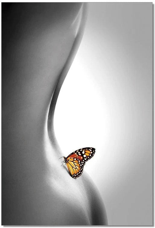 J&M Furniture Acrylic Wall Art Butterfly | SB-61336C