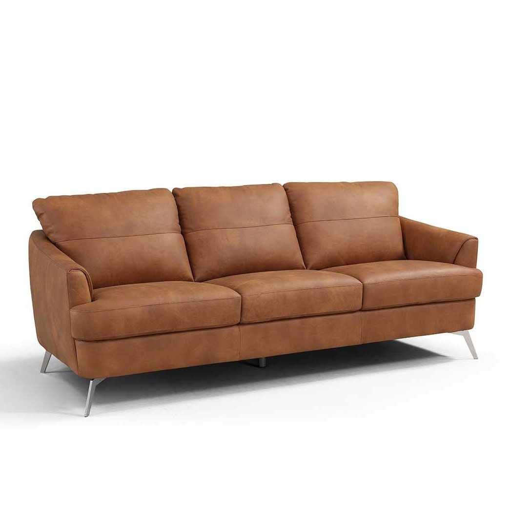 Acme Furniture Safi Sofa Cappuccino Leather LV00216