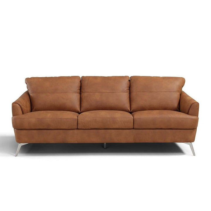 Acme Furniture Safi Sofa Cappuccino Leather LV00216