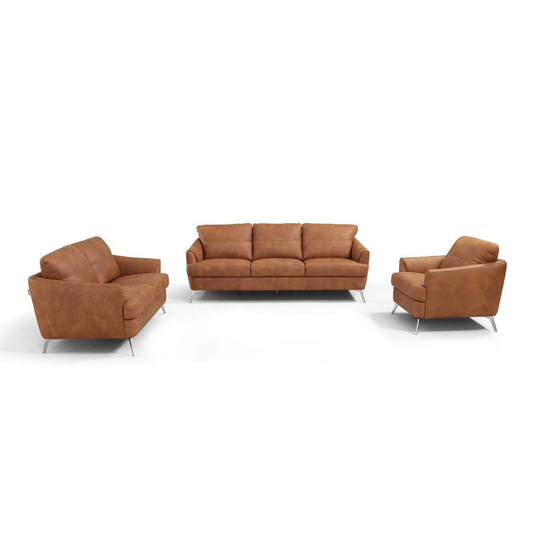 Acme Furniture Safi Loveseat in Cappuccino Leather LV00217