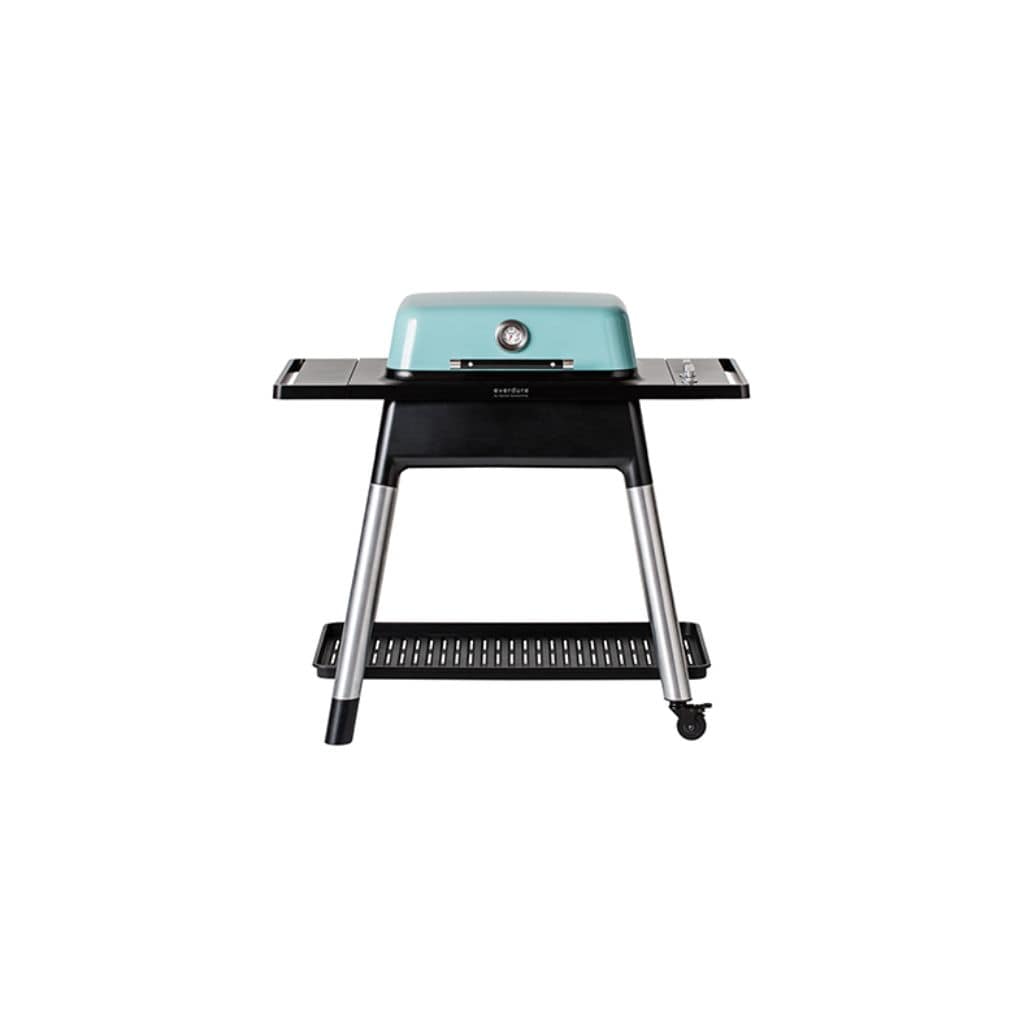 Everdure 46" FORCE 2 Burner Gas Grill with High Hood and Stand (HBG2MUS)