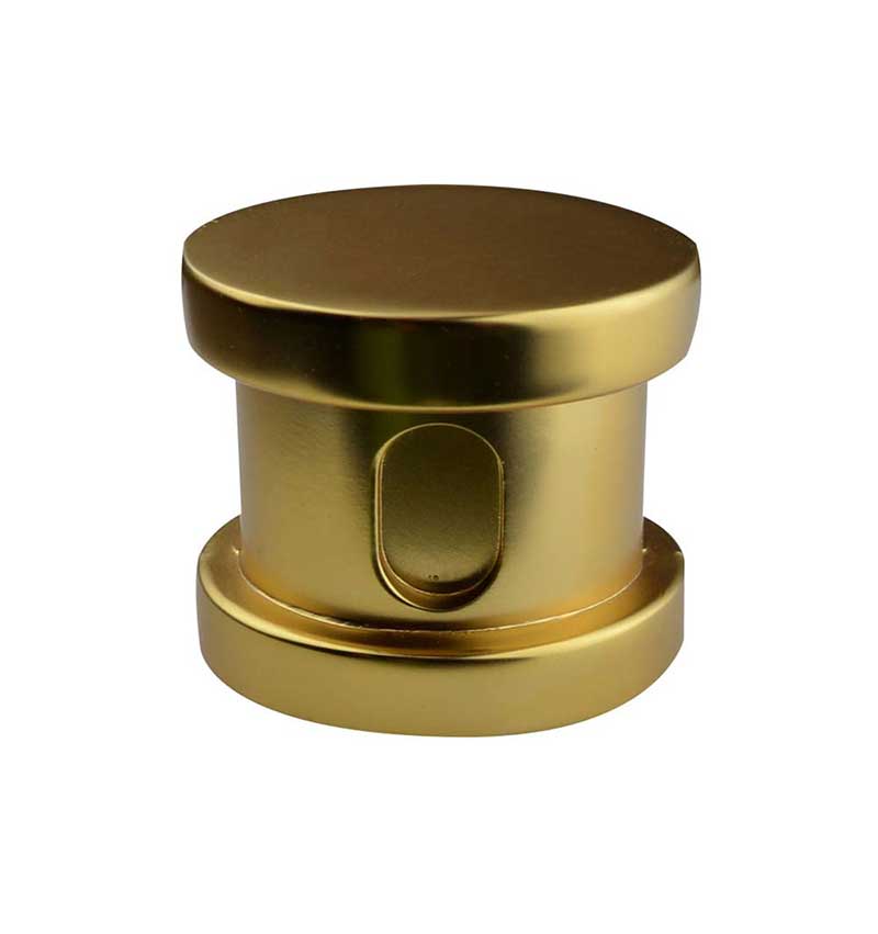 SteamSpa Steamhead with Aromatherapy Reservoir in Polished Gold